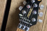 Peavey 1996 Wolfgang Standard Quilted-11.jpg